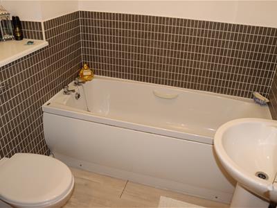 Picture 12
